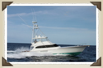 Traditional Boat Building Skills Zero, Boat Storm Watch Buy Online Malaysia, Divya Bhatnagar Death Reason Queen