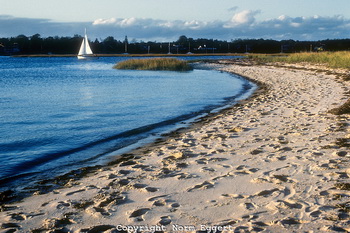 Designers Choice Sailboat Review, Cheap Boat Ride Near Me Google, Build Your Own Houseboat Uk 8.5
